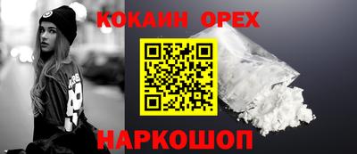 бошки Кингисепп