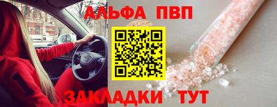 бошки Кингисепп