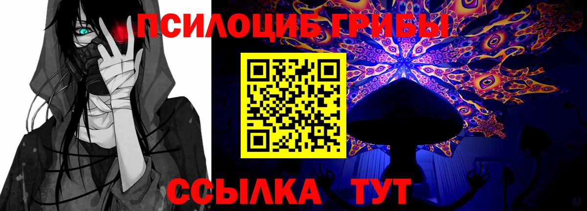Галлюциногенные грибы Cubensis Верхняя Салда