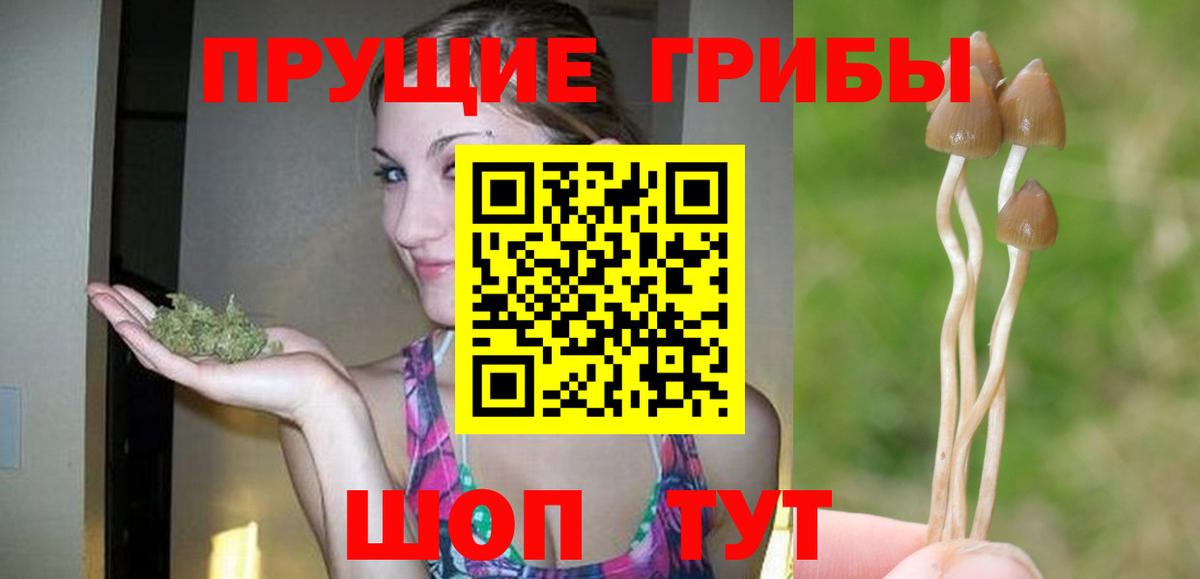 Псилоцибиновые грибы прущие грибы  Вход с VPN  Верхняя Салда 